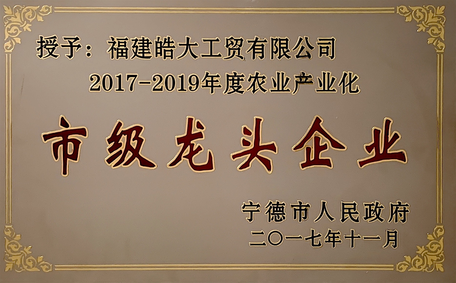 市級龍頭企業