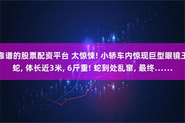 靠谱的股票配资平台 太惊悚! 小轿车内惊现巨型眼镜王蛇, 体长近3米, 6斤重! 蛇到处乱窜, 最终……